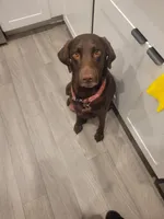 processed/11b53f08-cd3a-46a3-a0d8-a490675cc09d/facility/1357a9fe-8d8e-46c9-8f89-e23d12470b7d