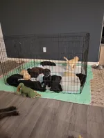 processed/11b53f08-cd3a-46a3-a0d8-a490675cc09d/facility/369f3205-aa69-4a2f-b70c-1298fbdabd82