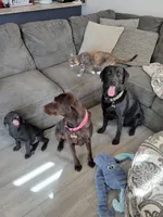 processed/11b53f08-cd3a-46a3-a0d8-a490675cc09d/facility/661e59e4-d2cc-4e85-a189-abf6dccefbc7