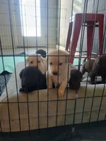 processed/11b53f08-cd3a-46a3-a0d8-a490675cc09d/facility/8718d3b5-4064-4c07-aa77-967440165ff6