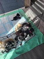 processed/11b53f08-cd3a-46a3-a0d8-a490675cc09d/facility/9f40da01-847d-4677-809b-c0888fa0dead