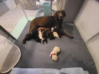 processed/11b53f08-cd3a-46a3-a0d8-a490675cc09d/facility/d5b0a936-ca12-414f-a19e-6076739c2a7a