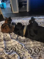 processed/11b53f08-cd3a-46a3-a0d8-a490675cc09d/facility/df911a46-ab80-4421-8bfa-0affcc2f1aa2