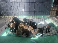 processed/11b53f08-cd3a-46a3-a0d8-a490675cc09d/facility/e14d7a3a-e21c-4aa2-93a1-5736296f8b98