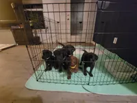 processed/11b53f08-cd3a-46a3-a0d8-a490675cc09d/facility/eedbd782-2d58-485d-8afb-14f54346a588