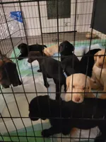 processed/11b53f08-cd3a-46a3-a0d8-a490675cc09d/facility/ffd46b88-cef1-470d-880b-8e9f795ee96b