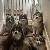 processed/11b708b3-5b62-40b9-addc-634fb3d80d67/facility/98db63bb-4784-4d78-82ef-3039b4cd61b0