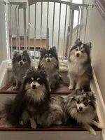 processed/11b708b3-5b62-40b9-addc-634fb3d80d67/facility/98db63bb-4784-4d78-82ef-3039b4cd61b0