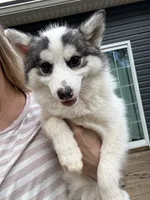 processed/11b708b3-5b62-40b9-addc-634fb3d80d67/listing/65860a99-4744-4dec-8030-b0d175278e7e/361816c7-0b1c-4831-a574-7f702d2d6a83