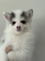 processed/11b708b3-5b62-40b9-addc-634fb3d80d67/listing/65860a99-4744-4dec-8030-b0d175278e7e/3a94fbd2-8f87-49d7-8a6d-71d42891b886