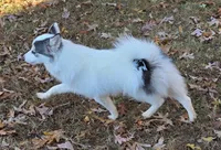 processed/11b708b3-5b62-40b9-addc-634fb3d80d67/listing/65860a99-4744-4dec-8030-b0d175278e7e/846b7abf-e4d9-43db-94f4-6c830c4cdd82