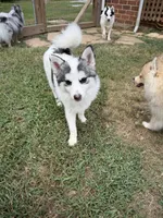 processed/11b708b3-5b62-40b9-addc-634fb3d80d67/listing/65860a99-4744-4dec-8030-b0d175278e7e/9d1c1c23-80d3-4566-8afb-6a84910fa65a