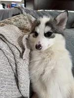 processed/11b708b3-5b62-40b9-addc-634fb3d80d67/listing/65860a99-4744-4dec-8030-b0d175278e7e/da6ff252-309b-4bac-8d9d-105ffdf99f9b