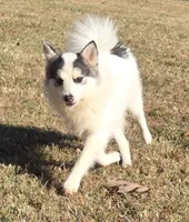 processed/11b708b3-5b62-40b9-addc-634fb3d80d67/listing/65860a99-4744-4dec-8030-b0d175278e7e/eb7640bd-4f08-4426-8816-701f7f18fbe7