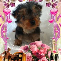 processed/11bc0f86-0b7b-41b8-a336-b51f9e99ac30/facility/22f9857e-9841-4563-8be5-b56ce95ff235