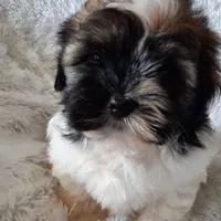 processed/11bc0f86-0b7b-41b8-a336-b51f9e99ac30/facility/28b70116-61d2-414a-94b4-ec407ccfaa9a