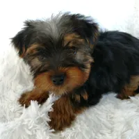 processed/11bc0f86-0b7b-41b8-a336-b51f9e99ac30/facility/6f03295a-f733-4b24-abd5-c4e7e587441a