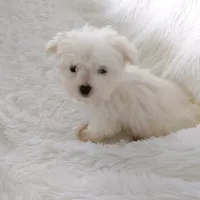 processed/11bc0f86-0b7b-41b8-a336-b51f9e99ac30/facility/a099dc4e-7662-44c8-b611-8d2541d3e001