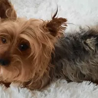 processed/11bc0f86-0b7b-41b8-a336-b51f9e99ac30/facility/ae3f1d41-a189-4c53-8313-1c64da711326