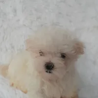 processed/11bc0f86-0b7b-41b8-a336-b51f9e99ac30/facility/b8de384d-c306-40d3-a9d9-a3b8a28bdc0a