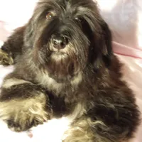 processed/11bc0f86-0b7b-41b8-a336-b51f9e99ac30/facility/c38f8c28-8621-46ba-a6a8-03ced6b0c1e5