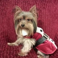 processed/11bc0f86-0b7b-41b8-a336-b51f9e99ac30/facility/dcc1c3ab-86e1-443e-9d7d-8583c3ef9e97