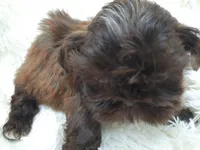 processed/11bc0f86-0b7b-41b8-a336-b51f9e99ac30/listing/03bb75d7-2485-4108-9b35-d993e639ffa9/0cce50a9-577f-4d5d-ae03-a0cb3764bbc5