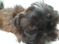 processed/11bc0f86-0b7b-41b8-a336-b51f9e99ac30/listing/03bb75d7-2485-4108-9b35-d993e639ffa9/1a74c671-9146-498e-a8c9-d68d0212d6b3