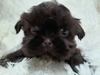 processed/11bc0f86-0b7b-41b8-a336-b51f9e99ac30/listing/03bb75d7-2485-4108-9b35-d993e639ffa9/2c11cd71-f108-4ace-8155-ca9407668538