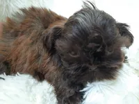 processed/11bc0f86-0b7b-41b8-a336-b51f9e99ac30/listing/03bb75d7-2485-4108-9b35-d993e639ffa9/7edd30e1-2a51-4547-bd5c-88611a7fa6e4