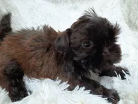 processed/11bc0f86-0b7b-41b8-a336-b51f9e99ac30/listing/03bb75d7-2485-4108-9b35-d993e639ffa9/8262e31b-27bd-4df5-86a1-9d67d782e5cb