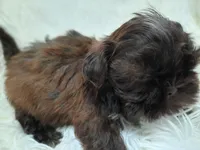 processed/11bc0f86-0b7b-41b8-a336-b51f9e99ac30/listing/03bb75d7-2485-4108-9b35-d993e639ffa9/8651817f-9de6-4c5f-b47d-386dc8e60d3f