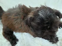 processed/11bc0f86-0b7b-41b8-a336-b51f9e99ac30/listing/03bb75d7-2485-4108-9b35-d993e639ffa9/8f3b86b0-938f-4ee1-9ef0-6f7cadc83b96