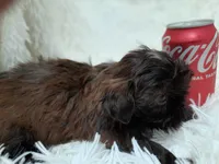 processed/11bc0f86-0b7b-41b8-a336-b51f9e99ac30/listing/03bb75d7-2485-4108-9b35-d993e639ffa9/a42bf5ff-1325-4af6-a664-873207b80726