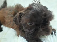 processed/11bc0f86-0b7b-41b8-a336-b51f9e99ac30/listing/03bb75d7-2485-4108-9b35-d993e639ffa9/b8dd1a5f-591c-457a-8f24-736510e4a3e9