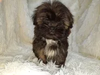 processed/11bc0f86-0b7b-41b8-a336-b51f9e99ac30/listing/a5d1b16c-3f05-4f6b-b359-baadbd3fef47/1c1cf064-e58c-453f-9d5b-e24ba4b5db42