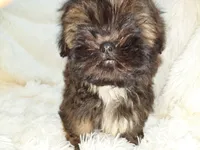 processed/11bc0f86-0b7b-41b8-a336-b51f9e99ac30/listing/a5d1b16c-3f05-4f6b-b359-baadbd3fef47/20dcbe80-178a-4c61-91f8-9bbb46800b17