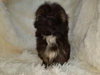 processed/11bc0f86-0b7b-41b8-a336-b51f9e99ac30/listing/a5d1b16c-3f05-4f6b-b359-baadbd3fef47/2c9f147f-d144-4d82-a99f-62480981b692