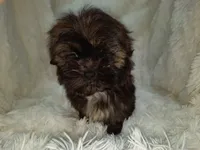 processed/11bc0f86-0b7b-41b8-a336-b51f9e99ac30/listing/a5d1b16c-3f05-4f6b-b359-baadbd3fef47/412816fb-b0fd-4a27-aa0f-cdd5ecbce34f