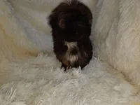 processed/11bc0f86-0b7b-41b8-a336-b51f9e99ac30/listing/a5d1b16c-3f05-4f6b-b359-baadbd3fef47/9bf0a975-2ad7-4fcf-b0d6-ae82c2e1b1ce