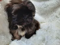 processed/11bc0f86-0b7b-41b8-a336-b51f9e99ac30/listing/a5d1b16c-3f05-4f6b-b359-baadbd3fef47/de8bea32-2e17-47a6-85cf-f7b02ef3a669