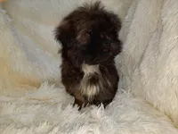 processed/11bc0f86-0b7b-41b8-a336-b51f9e99ac30/listing/a5d1b16c-3f05-4f6b-b359-baadbd3fef47/f92efd0a-1122-42cd-9ef5-3e1742fff234