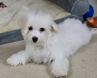 processed/11c1a304-a39c-4292-b4e1-7f9b2d4db758/listing/1b134ec1-aafc-4a1b-b75e-4959d08cc77a/04b7254a-340f-4d20-8b45-cd1ac1cde800