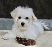 processed/11c1a304-a39c-4292-b4e1-7f9b2d4db758/listing/1b134ec1-aafc-4a1b-b75e-4959d08cc77a/4887a2db-8cee-49fa-b9d3-9a914604254c