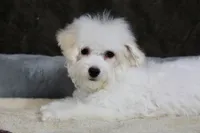 processed/11c1a304-a39c-4292-b4e1-7f9b2d4db758/listing/1b134ec1-aafc-4a1b-b75e-4959d08cc77a/6237412c-00a8-4cbe-a32b-99e6d96a49ba