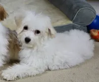 processed/11c1a304-a39c-4292-b4e1-7f9b2d4db758/listing/1b134ec1-aafc-4a1b-b75e-4959d08cc77a/6b3f0d3e-b9e7-41fd-bfc2-8f0e68ec3ed5