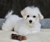 processed/11c1a304-a39c-4292-b4e1-7f9b2d4db758/listing/1b134ec1-aafc-4a1b-b75e-4959d08cc77a/a63e6e85-0df3-4447-8a23-127c650fe756