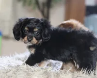 processed/11c1a304-a39c-4292-b4e1-7f9b2d4db758/listing/22e7dde3-1df2-4c2d-80da-bc71cac609bd/1c24a9ec-6062-49e3-8c4f-7a9d3c33d2b1