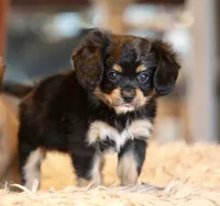 processed/11c1a304-a39c-4292-b4e1-7f9b2d4db758/listing/22e7dde3-1df2-4c2d-80da-bc71cac609bd/72a10448-efdf-4ca3-9066-fedc21f769b3