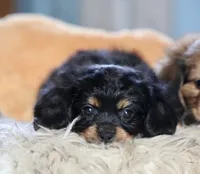 processed/11c1a304-a39c-4292-b4e1-7f9b2d4db758/listing/22e7dde3-1df2-4c2d-80da-bc71cac609bd/8d207589-5a18-49ac-b767-a2ae725cf62d